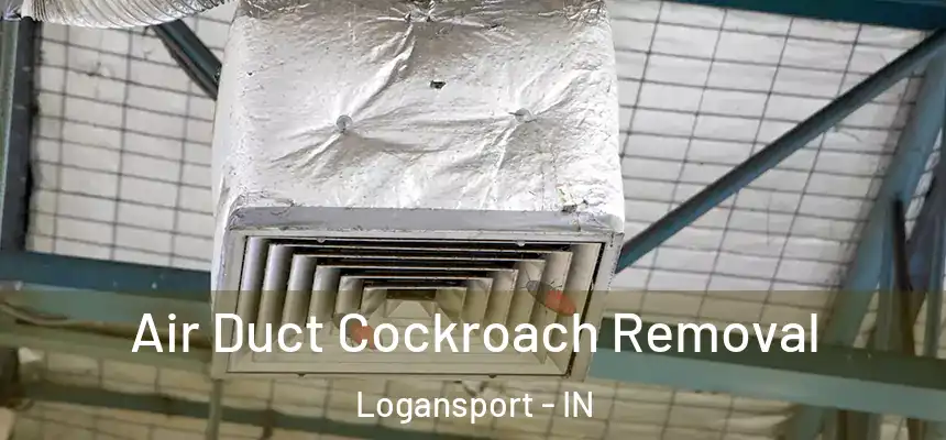  Air Duct Cockroach Removal Logansport - IN