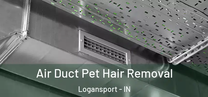  Air Duct Pet Hair Removal Logansport - IN