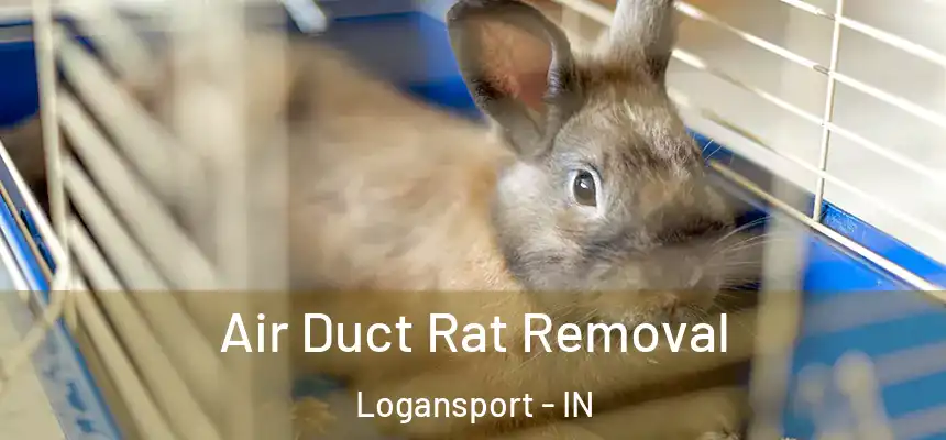  Air Duct Rat Removal Logansport - IN