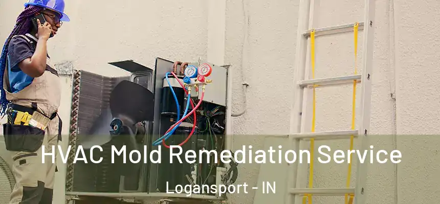  HVAC Mold Remediation Service Logansport - IN