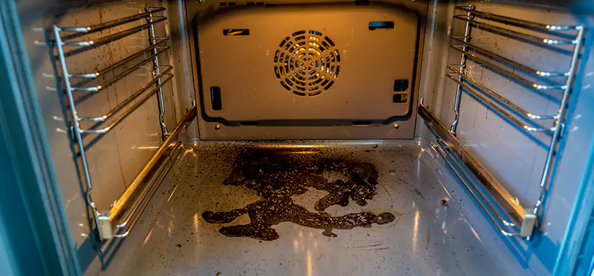 Our Dryer Vent Mold Cleaning Services in Logansport, IN