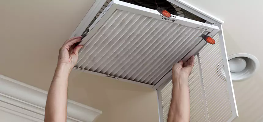Our Insect Removal from Air Ducts Services in Logansport, IN