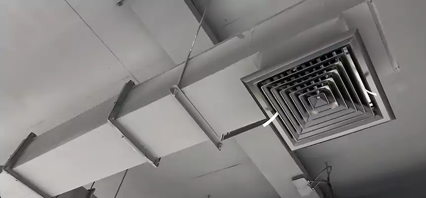 Our Rodent Droppings In Vents Services in Logansport, IN