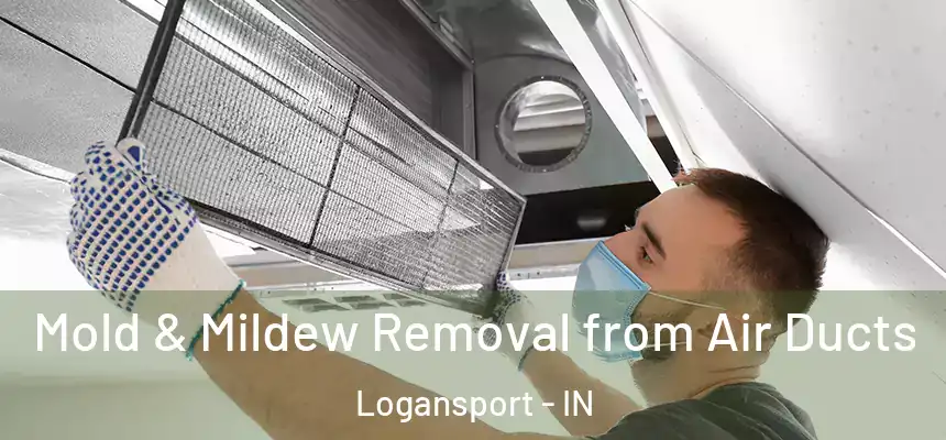  Mold & Mildew Removal from Air Ducts Logansport - IN