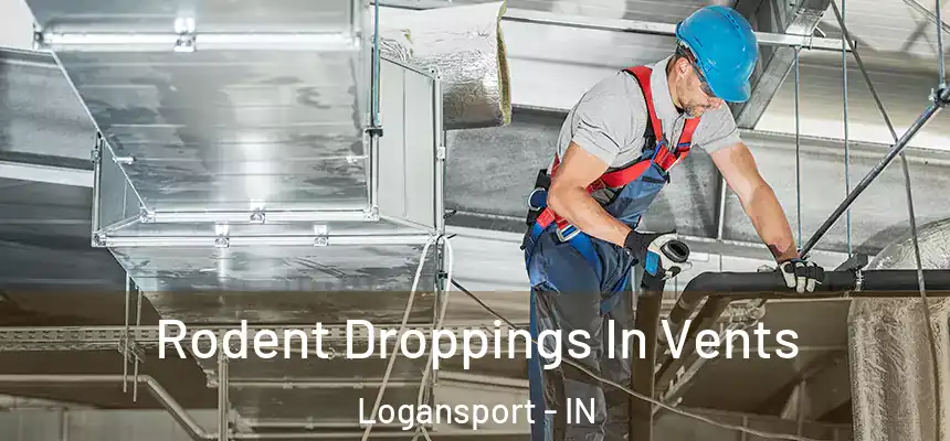  Rodent Droppings In Vents Logansport - IN