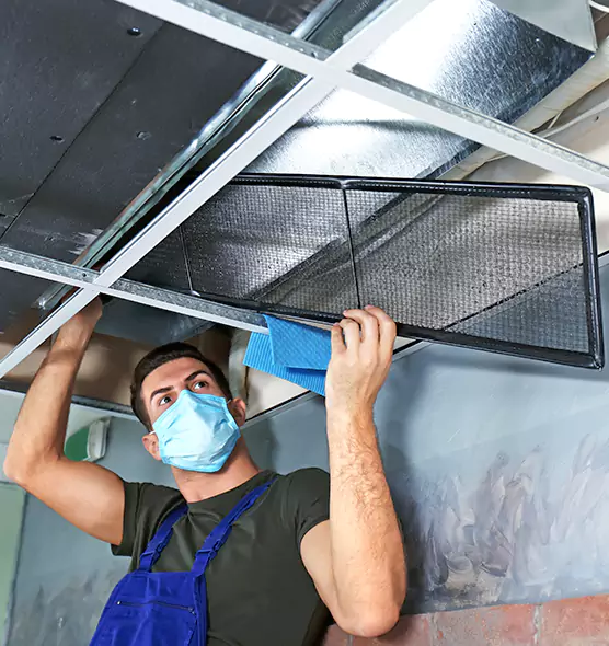About Air Duct Bacteria Removal in Logansport