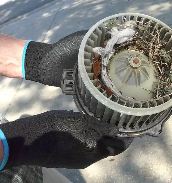 About Air Duct Mice Removal in Logansport, IN