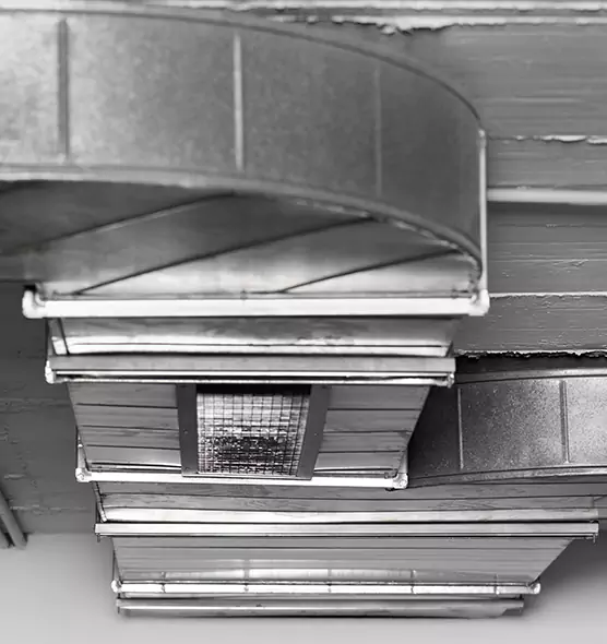 Professional Air Duct Pet Hair Removal in Logansport, IN