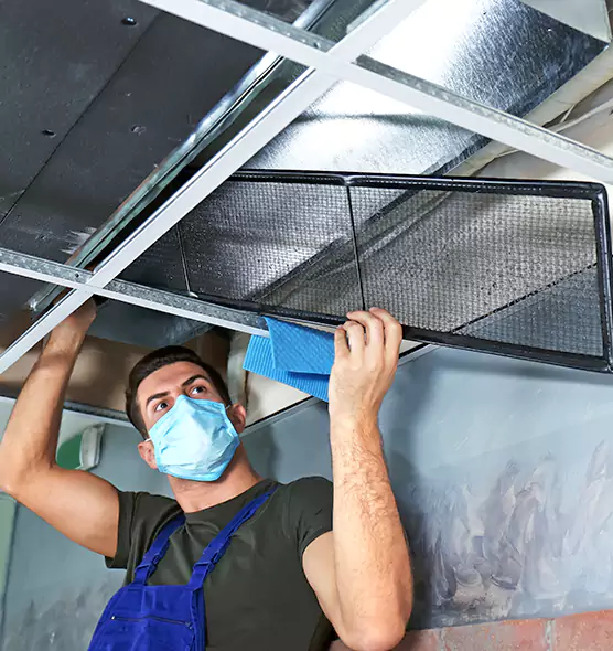 Professional Air Duct Pollen Cleaning in Logansport, IN