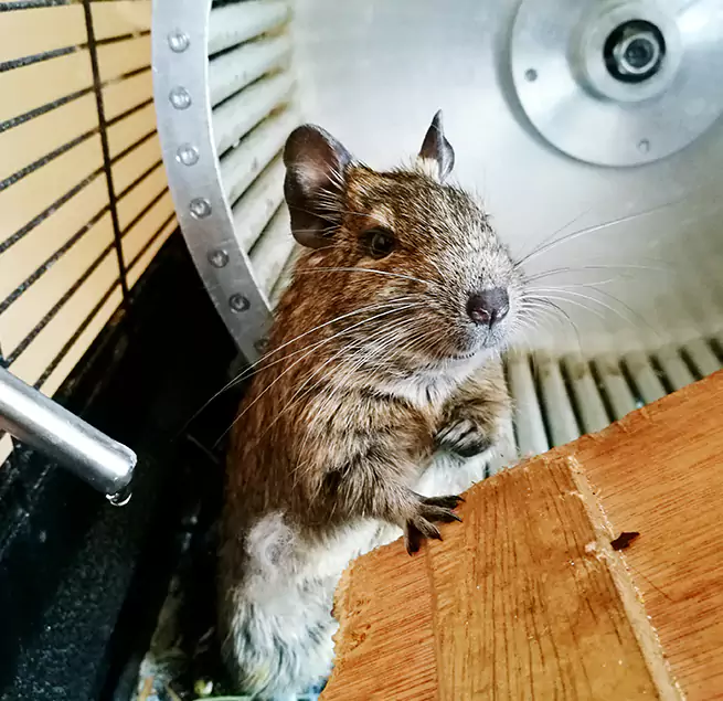 Why Homeowners & Businesses Trust Us Logansport, IN